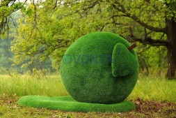 Топиари яблоко Синап — газон Eco Green