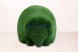 Топиари ежик Холл, модель 2 — газон Deluxe Green+Eco