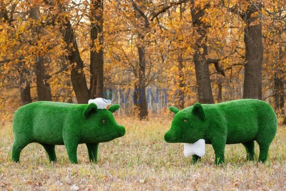 Топиари композиция поросята папа и мама — газон Eco