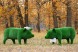 Топиари композиция поросята папа и мама — газон Eco