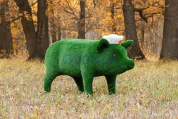 Топиари композиция поросята папа и мама — газон Eco