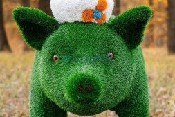 Топиари композиция поросята папа и мама — газон Eco