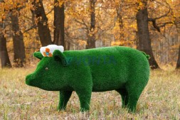 Топиари композиция поросята папа и мама — газон Eco