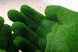 Топиари композиция ладони — газон Eco