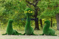 Топиари композиция тюлени — газон Deluxe