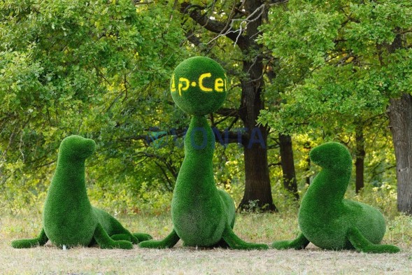 Топиари композиция тюлени — газон Deluxe