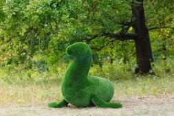 Топиари композиция тюлени — газон Deluxe