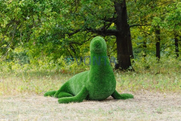 Топиари композиция тюлени — газон Deluxe