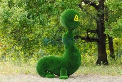 Топиари композиция тюлени — газон Deluxe