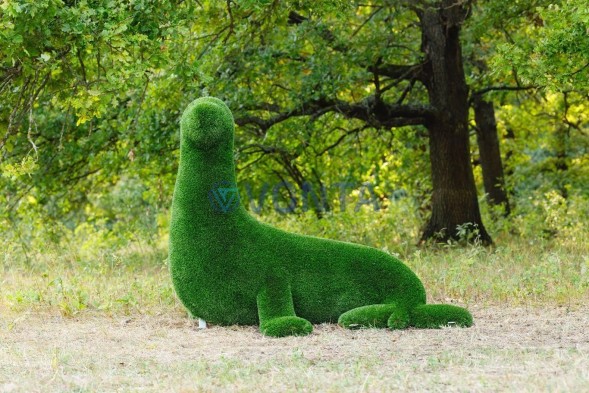 Топиари композиция тюлени — газон Deluxe