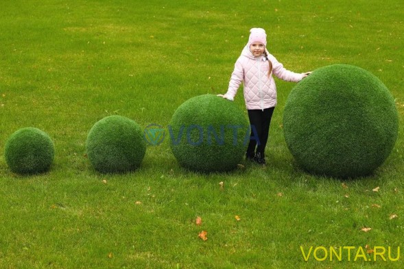 Топиари шар в виде куста туи, d=85см — газон Eco