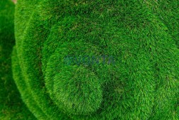 Топиари улитка, важная с кашпо — газон Eco