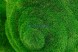 Топиари улитка, важная с кашпо — газон Eco