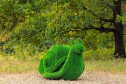 Топиари улитка, важная с кашпо — газон Eco