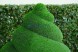 Топиари композиция улитки малышка и Элли — газон Eco