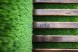 Топиари композиция олень Варлам на лавочке — газон Eco