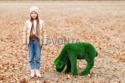 Топиари композиция ягнята и овечка — газон Deluxe