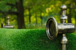 Топиари карета — газон Deluxe