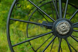 Топиари карета — газон Deluxe