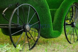 Топиари карета — газон Deluxe