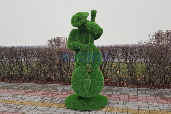 Топиари музыкант с контрабасом — газон Eco +