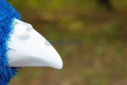 Топиари павлин, основа композиций — газон Deluxe + Eco