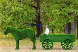 Топиари телега — газон Eco