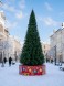 Уличная ствольная елка «Альпийская» 22 м