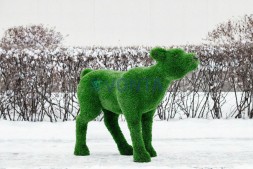 Топиари олень, малыш Том — газон Eco