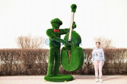 Топиари музыкант, контрабасист Витуш — газон Deluxe