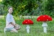 Топиари гриб мухомор стройный, h=45 см — газон Eco