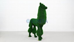 Топиари альпака,h=160 см — газон Eco+Luxe