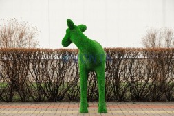 Топиари олень, самочка Нелли — газон Eco