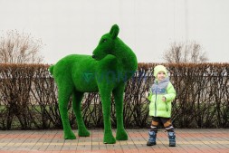 Топиари олень, самочка Нелли — газон Eco