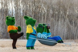 Топиари композиция бригада Хрю, модель 1 — газон Eco