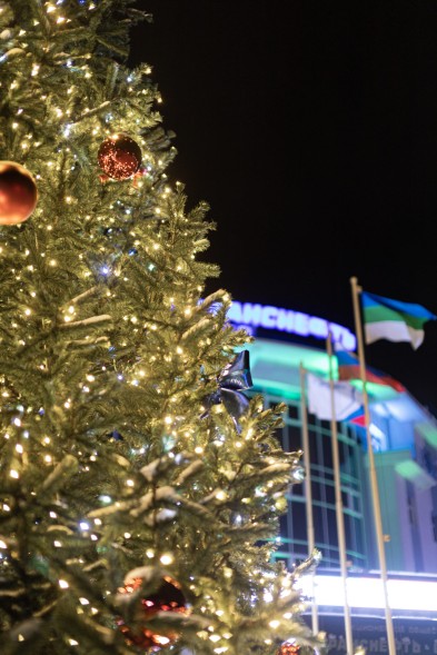 Ель ствольная «Светодинамическая Альпийская» - 5 м