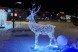 Светодиодная фигура Олень северный 240 см.