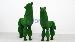 Топиари композиция Альпаки — газон Есо+Luxe