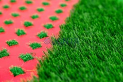 Топиари рояль с логотипом- — газон Deluxe