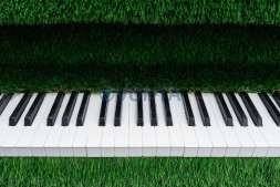 Топиари рояль с логотипом- — газон Deluxe