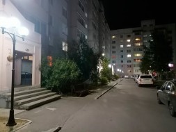 Фонарь уличный Парк-3.1-300