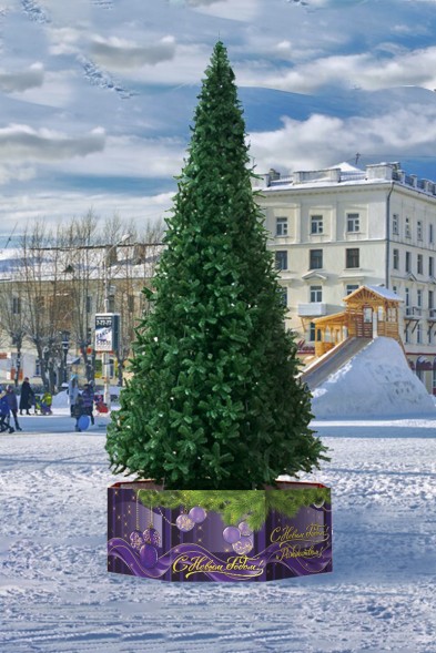 Ель ствольная «Альпийская» - 15 м