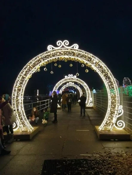 Светодиодная арка Круглая с вензелями 350 см. 1 шт., (SR215)