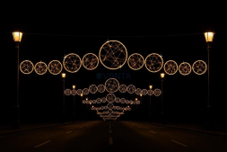 Светодиодная растяжка Диски 500 см., (SR362)