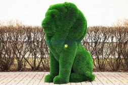 Топиари композиция львы Рикко, Томас и Сильвестр — газон Deluxe