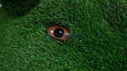 Топиари лось Алкей — газон Есо