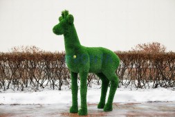 Топиари косуля, самец Рони — газон Deluxe