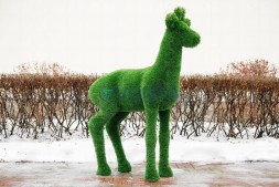 Топиари косуля, самец Рони — газон Deluxe