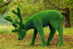 Топиари олень, пасется — газон Eco Green