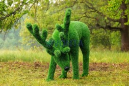 Топиари олень, пасется — газон Eco Green